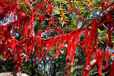 模拟×探索×多重结局ADV《Cafe DReAMLAND》Steam页面开放 明年发行